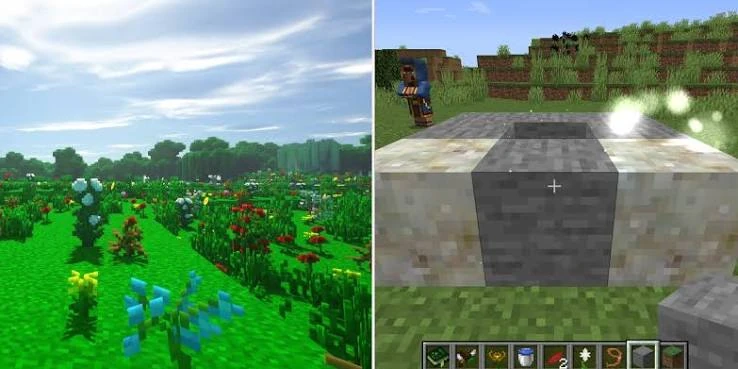 Large Botania flower field